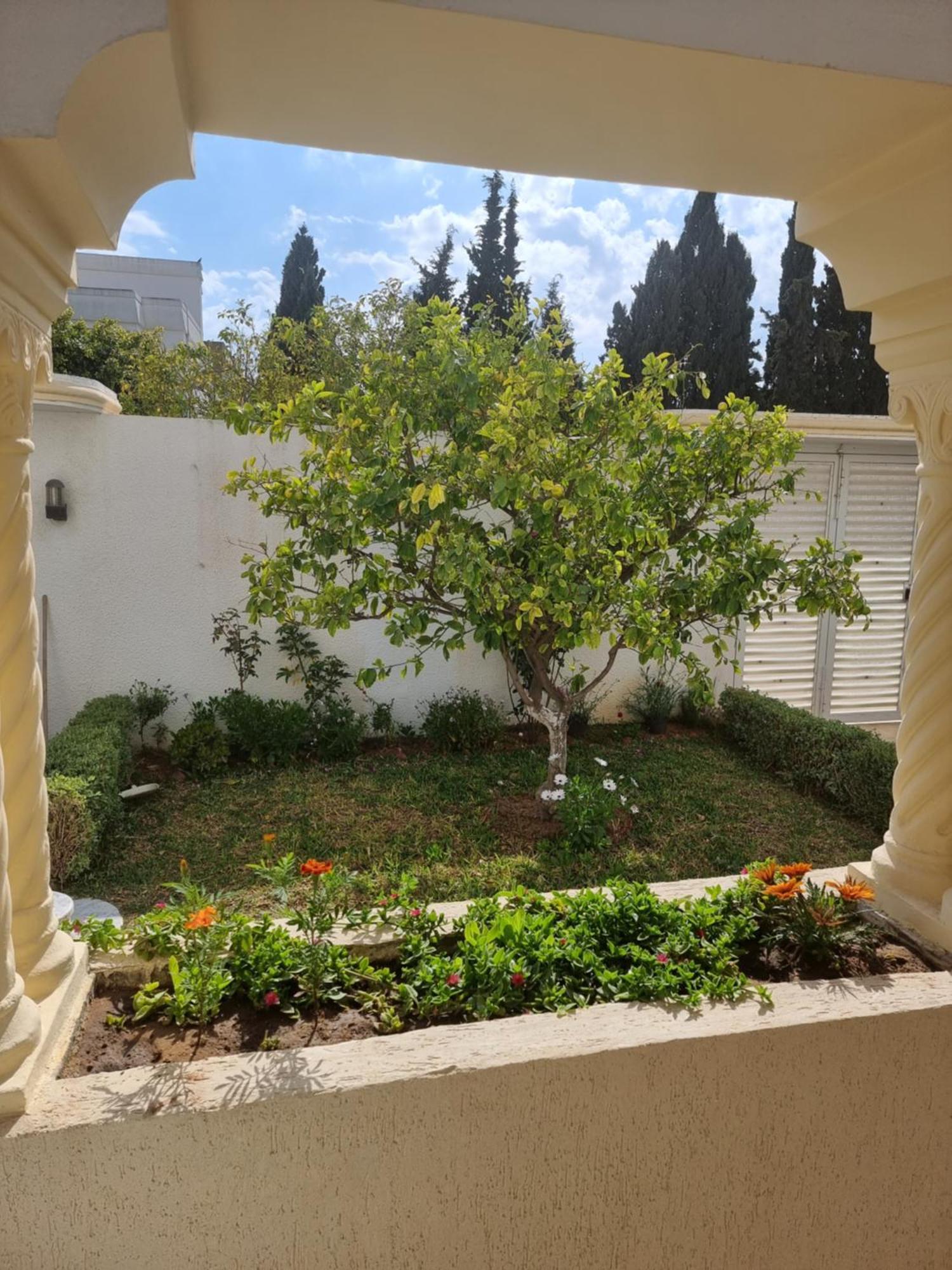 Appartements De Luxe Pres De La Mer Ναμπέλ Εξωτερικό φωτογραφία