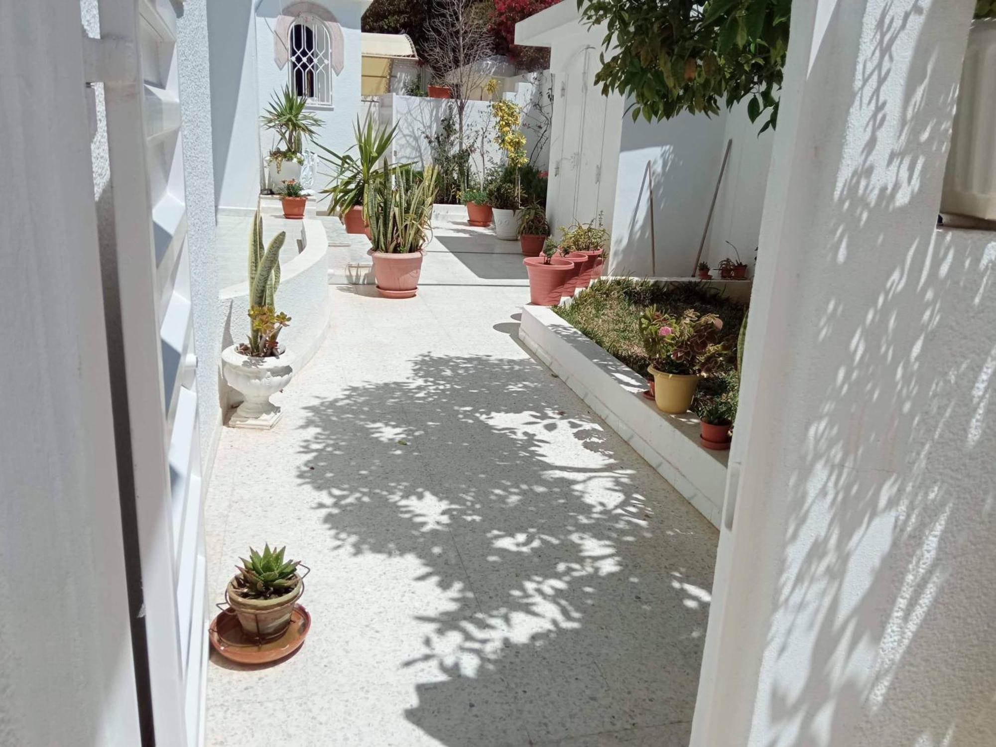 Appartements De Luxe Pres De La Mer Ναμπέλ Εξωτερικό φωτογραφία